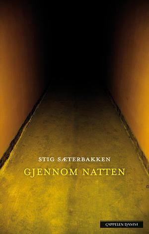 Gjennom natten by Stig Sæterbakken