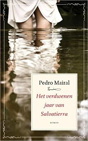 Het verdwenen jaar van Salvatierra by Pedro Mairal