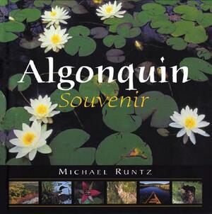 Algonquin Souvenir by Michael Runtz
