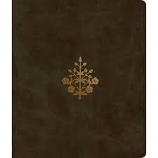 ESV Journaling Bible by Anonymous