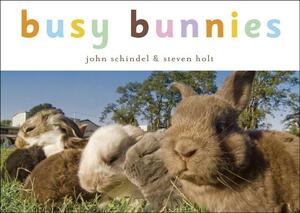 Busy Bunnies by John Schindel