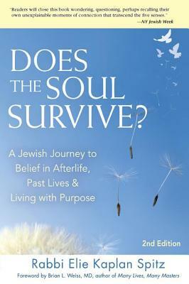 Does the Soul Survive? (2nd Edition): A Jewish Journey to Belief in Afterlife, Past Lives & Living with Purpose by Elie Kaplan Spitz