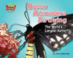 Queen Alexandra Birdwing: The World's Largest Butterfly by John Stidworthy