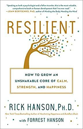 Resilient: 12 Tools for transforming everyday experiences into lasting happiness by Rick Hanson