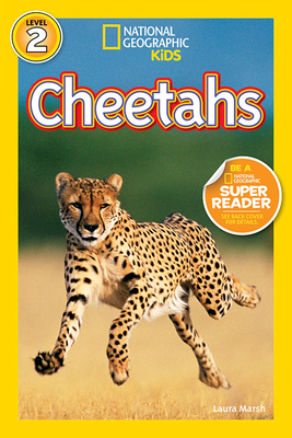 Cheetahs by Laura Marsh