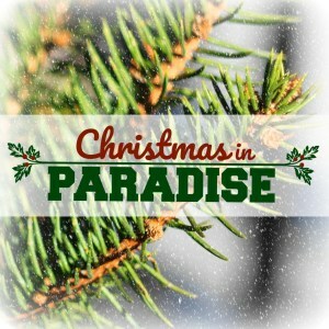 Christmas in Paradise by Karen Barnett