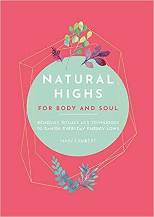 Natural Highs: 70 Instant Energizers for Body and Soul by Mary Lambert