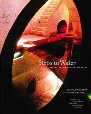 Steps to Water: The Ancient Stepwells of India by Milo Beach, Morna Livingston