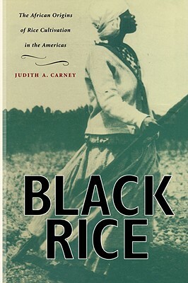 Black Rice: The African Origins of Rice Cultivation in the Americas by Judith A. Carney