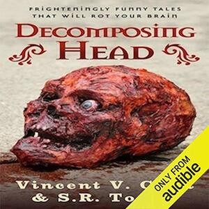 Decomposing Head: Frighteningly Funny Tales That Will Rot Your Brain by Stacy Macy, Vincent V. Cava