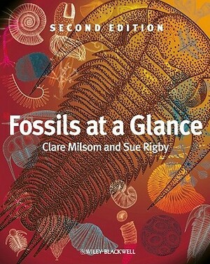 Fossils at a Glance by Clare Milsom, Sue Rigby