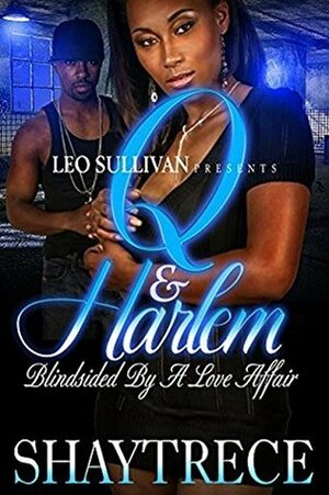 Q and Harlem: Blindsided By A Love Affair by Shaytrece