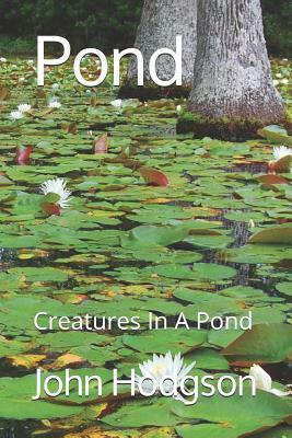 Pond: Creatures In a Pond by John Hodgson