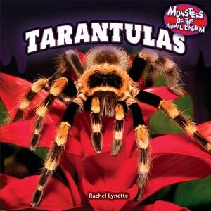 Tarantulas by Rachel Lynette