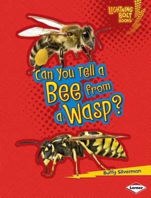 Can You Tell a Bee from a Wasp? by Buffy Silverman