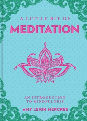 A Little Bit of Meditation: An Introduction to Mindfulness by Amy Leigh Mercree