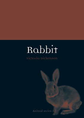 Rabbit by Victoria Dickenson