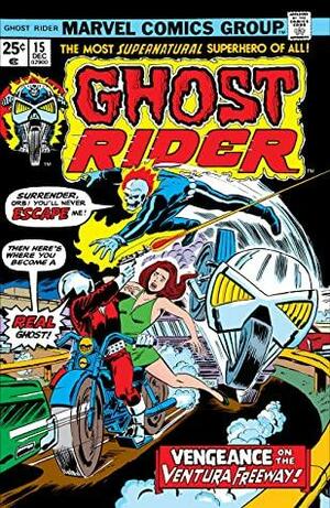 Ghost Rider (1973-1983) #15 by Tony Isabella