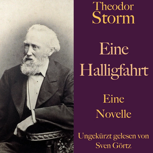 Eine Halligfahrt by Theodor Storm
