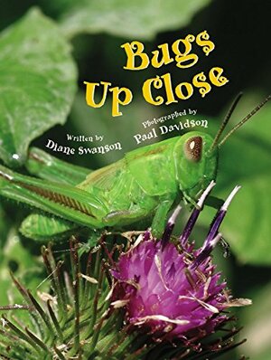 Bugs Up Close by Diane Swanson