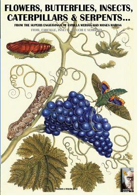 flowers, butterflies, insects, caterpillars & serpents...: From Sybilla Merian & Moses Hariss XVII-XVIII Centuries engravings by Luca Stefano Cristini