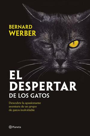 El despertar de los gatos (Les chats #1) by Bernard Werber