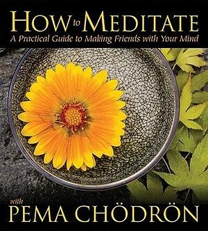 How to Meditate with Pema Chödrön: A Practical Guide to Making Friends with Your Mind by Pema Chödrön