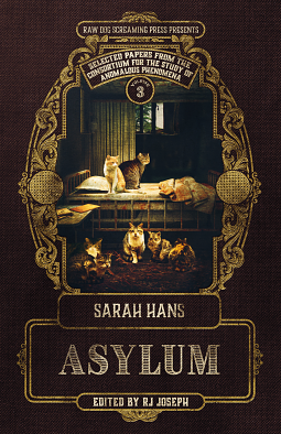 Aslyum by Sarah Hans