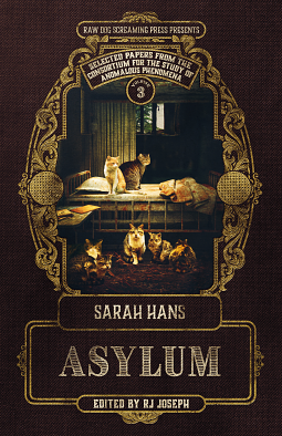 Asylum by Sarah Hans