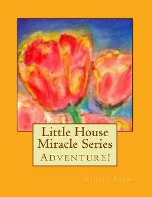 Little House Miracle Series by Laurel Marie Sobol