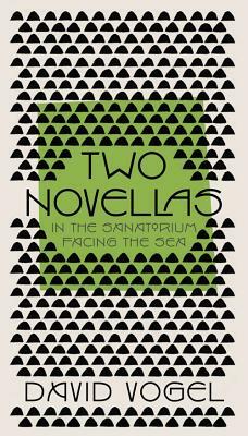 Two Novellas: In the Sanatorium and Facing the Sea by David Vogel