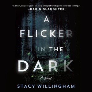 A Flicker in the Dark by Stacy Willingham