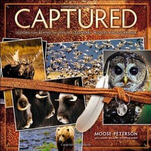 Captured: Lessons from Behind the Lens of a Legendary Wildlife Photographer by B. Moose Peterson