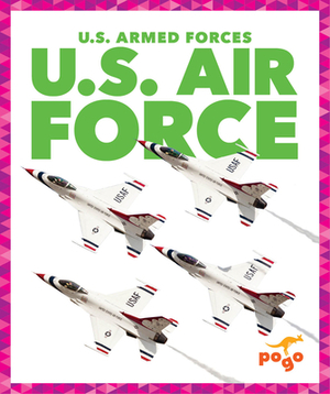 U.S. Air Force by Allan Morey
