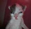 cyris_reads's profile picture