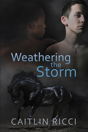 Weathering the Storm by Caitlin Ricci