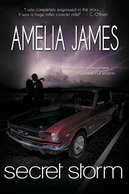 Secret Storm by Amelia James