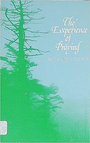 The Experience of Praying by Sean Caulfield