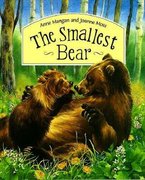 The Smallest Bear by Anne Mangan
