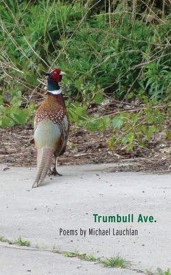 Trumbull Ave. by Michael Lauchlan