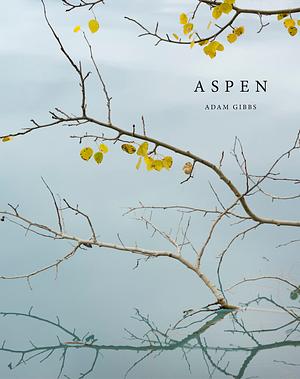 Aspen by Adam Gibbs