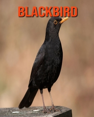 Blackbird: Learn About Blackbird and Enjoy Colorful Pictures by Diane Jackson