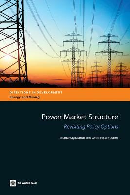 Power Market Structure: Revisiting Policy Options by Maria Vagliasindi, John Besant-Jones