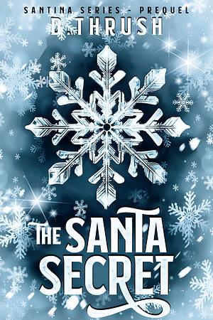 The Santa Secret by D. Thrush