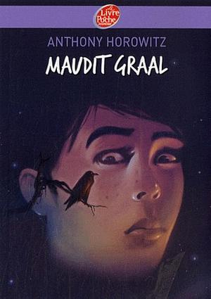 Maudit Graal by Benoît Dartigues, Anthony Horowitz, Annick Le Goyat