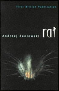 Rat by Andrzej Zaniewski