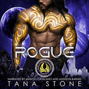 Rogue by Tana Stone