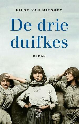 De drie duifkes: roman by Hilde Van Mieghem