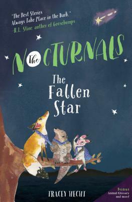 The Fallen Star by Tracey Hecht