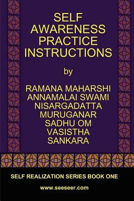 Self Awareness Practice Instructions: Self Realizaation Series, Book One by Ramana Maharshi, Vasistha, Nisargadatta Maharaj